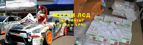 прущие грибы Алзамай