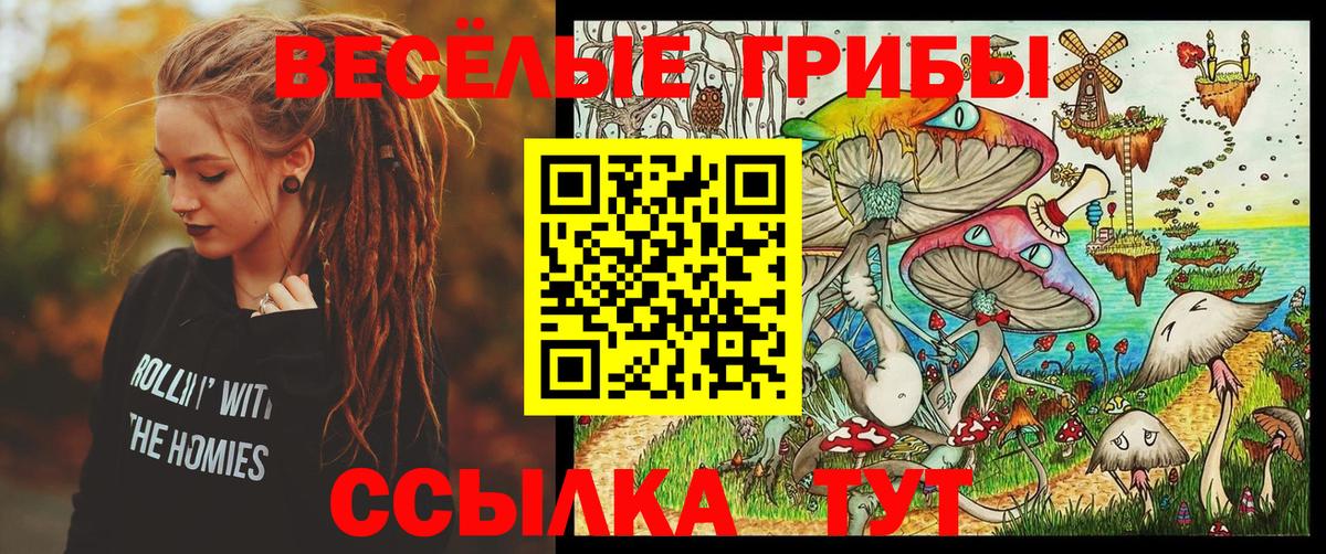 Галлюциногенные грибы Cubensis Ахтубинск