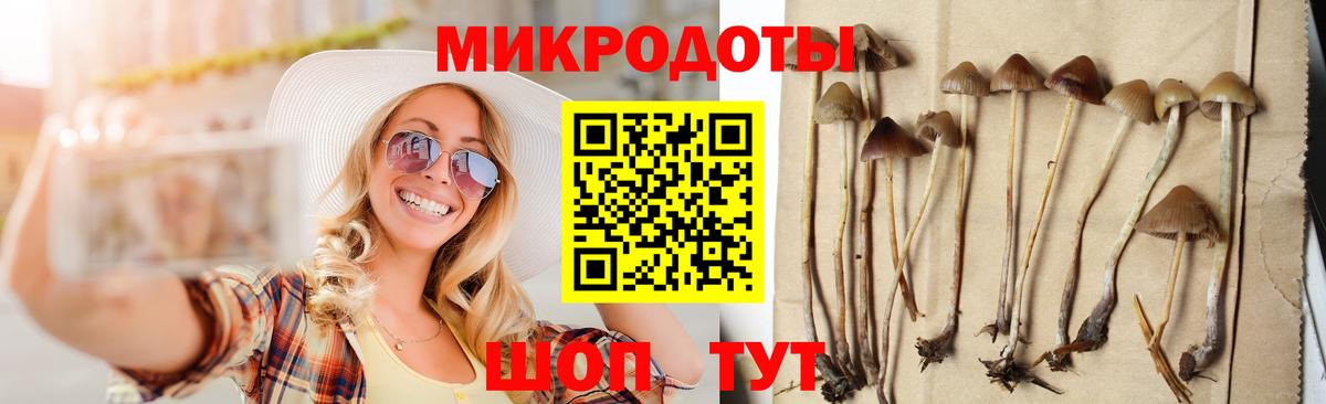 Ахтубинск  Псилоцибиновые грибы Cubensis  купить  сайты  Вход с VPN  Галлюциногенные грибы прущие грибы 